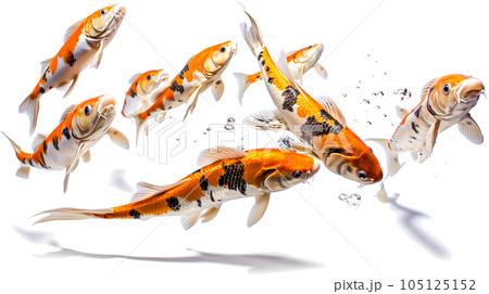 コイのイメージ - image of Koi fish - No1-7 Generative AI コイのイメージ - image of Koi fish - No1-7 Generative AI 105125152