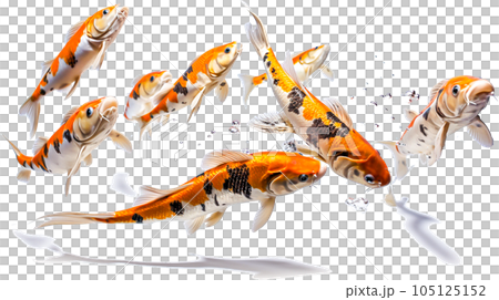 コイのイメージ - image of Koi fish - No1-7 Generative AI コイのイメージ - image of Koi fish - No1-7 Generative AI 105125152