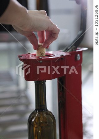 Bottle of wine is corked in production. Natural cork. A small craft winery. The concept of small wine production. Wine of the new harvest. 105126806
