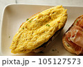 Breakfast dish. Open-Faced Sandwich  - omelette on toasted bread. 105127573