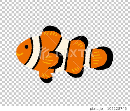 小丑魚的手繪插圖 105128746