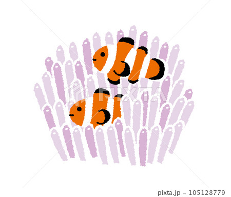 イソギンチャクに隠れるカクレクマノミの手描きイラスト 105128779