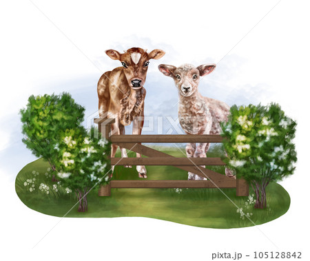 A composition of farm animals in a meadow among nature, in the fresh air. A calf and a lamb in pasture behind the fence. Digital illustration on a white background. For packaging, postcards, posters 105128842