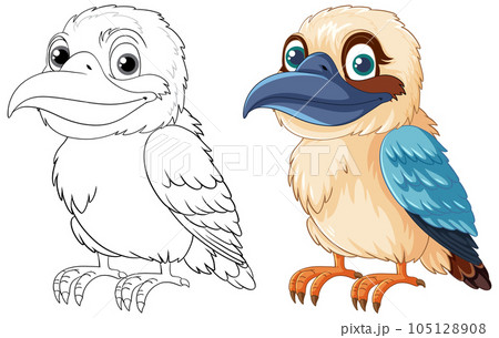 A smiling Kookaburra, native to Australia, is set against a white background in a vector cartoon illustration style 105128908