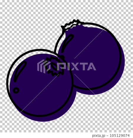 plums isolated on white background plums isolated on white background 105129074