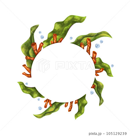 A bright composition with a circular underwater world. Red corals and seaweed. For printing, stickers, posters, postcards, prints, souvenirs. Digital illustration on a white background 105129239