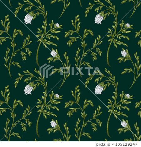 Seamless pattern with wildflowers with white buds. Floral background for textiles, fabrics, banners, wrapping paper and other designs. Digital illustration on a green background 105129247