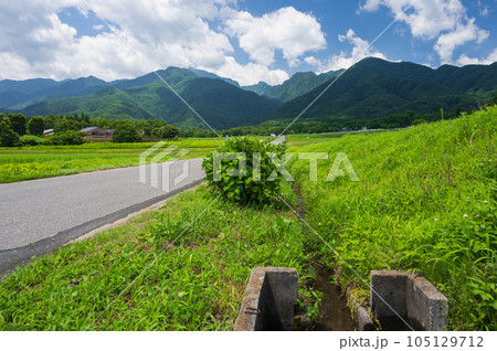 白州町の農村風景 水路 田園 白州町の農村風景 水路 田園 105129712