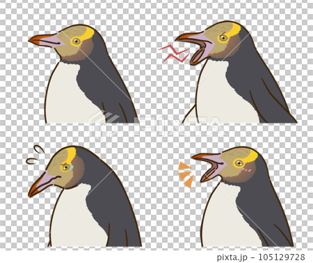 キガシラペンギンの喜怒哀楽セット 105129728