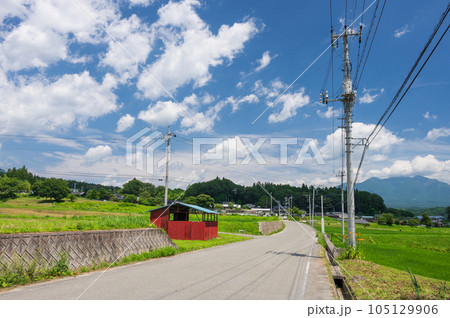 白州町の農村風景　夏の原風景　山梨 105129906
