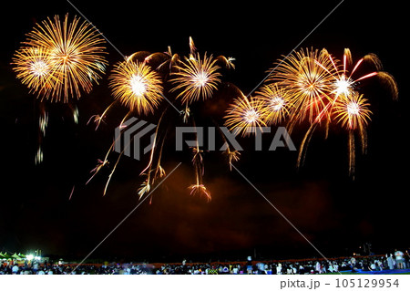 うつのみや花火大会 2019年08月10日(土) 栃木県 宇都宮市 鬼怒川 道場宿緑地 105129954