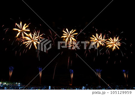うつのみや花火大会 2019年08月10日(土) 栃木県 宇都宮市 鬼怒川 道場宿緑地 105129959