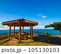 真夏知念岬公園 105130103