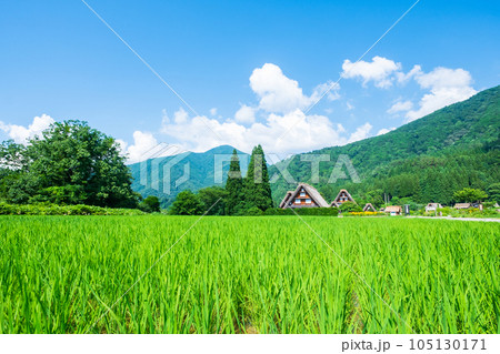 夏の白川郷 夏の白川郷 105130171