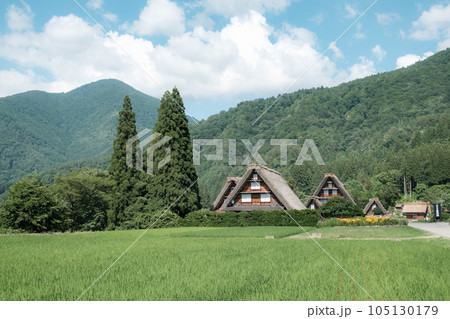 夏の白川郷 夏の白川郷 105130179