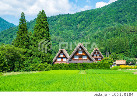 夏の白川郷 105130184