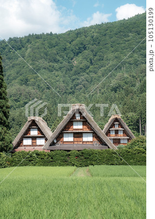 夏の白川郷 105130199