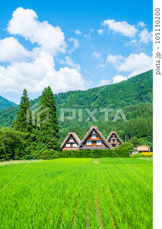 夏の白川郷 105130200
