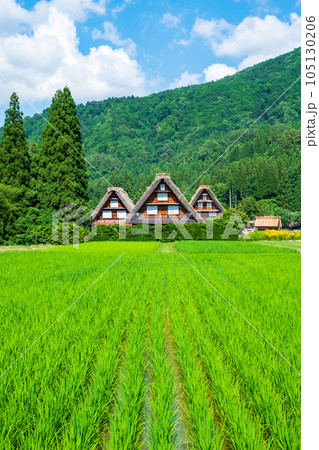 夏の白川郷 105130206