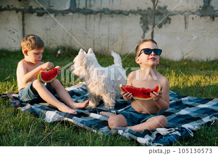 Boys with a dog eating watermelon on the backyard lawn. Boys with a dog eating watermelon on the backyard lawn. 105130573