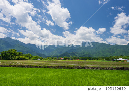 白州町の農村風景 北杜市 原風景 白州町の農村風景 北杜市 原風景 105130650