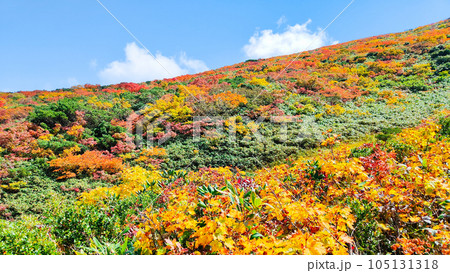秋の栗駒山登山（産沼コース） 105131318
