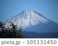 富士山　ふじさん　雪化粧 105131450