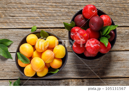 Colorful plums 105131567