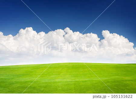 Landscape with green grass field under a blue sky 105131622