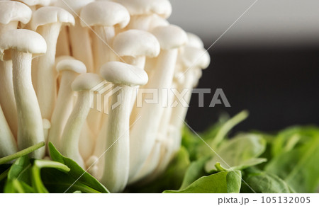 White mushrooms shimeji White mushrooms shimeji 105132005