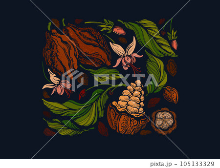 Dark chocolate. Cocoa symbol Dark chocolate. Cocoa symbol 105133329
