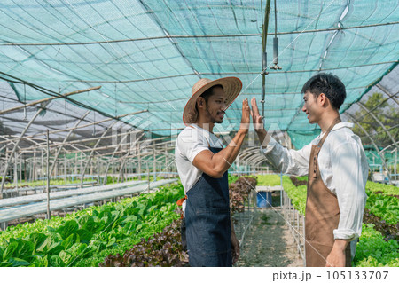 Two agricultural men unite for success in cultivating horticulture in nursery outdoor 105133707