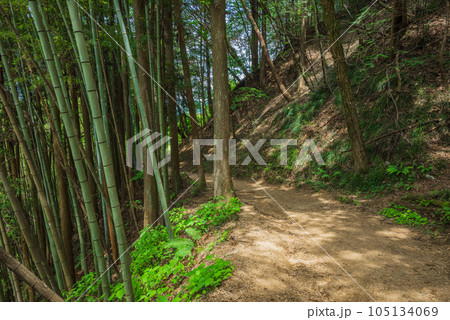 サムライロード【中山道】 サムライロード【中山道】 105134069
