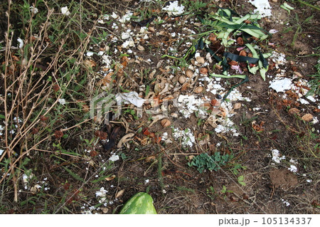 Garden organic compost. Recycling plant and kitchen food waste. How to make organic fertilizer. 105134337
