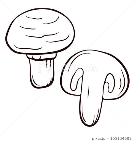Champignon mushroom logo for menu, restaurant, printing in a line art style. Creative ink art work. Vector illustration isolated on a white background. Champignon mushroom logo for menu, restaurant, printing in a line art style. Creative ink art work. Vector illustration isolated on a white background. 105134605