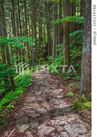サムライロード【中山道】 サムライロード【中山道】 105134786