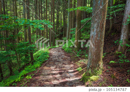 サムライロード【中山道】 105134787