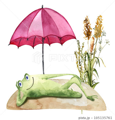 A funny frog is lying on the lawn under an umbrella. Watercolor children s illustration. Cartoon 105135761