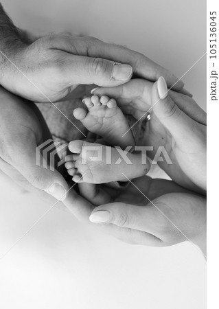 The palms of the father, the mother are holding the foot of the newborn baby on white background. Feet of the newborn on the palms of the parents. Photography of a child's toes, heels and feet. The palms of the father, the mother are holding the foot of the newborn baby on white background. Feet of the newborn on the palms of the parents. Photography of a child's toes, heels and feet. 105136045