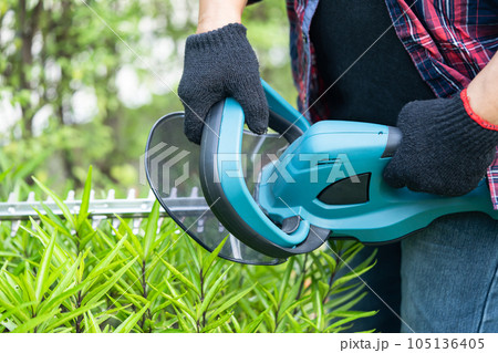 Woman taking care and growing plants, Hobby planting home garden, ornamental pruning. 105136405