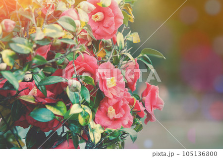 Victoria Vitkovska; vvvita; Victoria Vitkovska; vvvita; 105136800