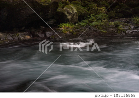 新緑の頃菊池渓谷の美しい風景 105136968