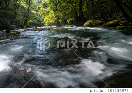 新緑の頃菊池渓谷の美しい風景 105136975