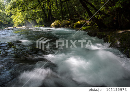 新緑の頃菊池渓谷の美しい風景 105136978