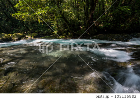 新緑の頃菊池渓谷の美しい風景 新緑の頃菊池渓谷の美しい風景 105136982