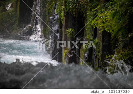 新緑の頃菊池渓谷の美しい風景 新緑の頃菊池渓谷の美しい風景 105137030
