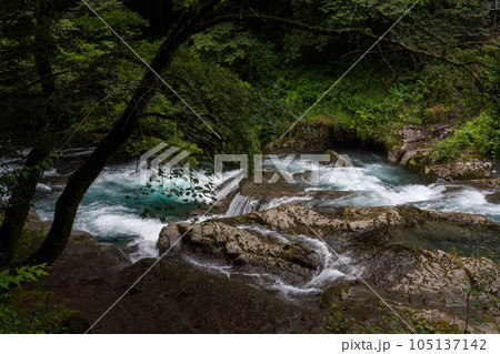 新緑の頃菊池渓谷の美しい風景 105137142