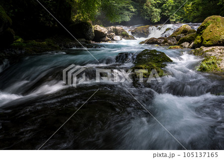 新緑の頃菊池渓谷の美しい風景 新緑の頃菊池渓谷の美しい風景 105137165