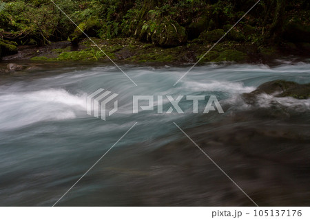 新緑の頃菊池渓谷の美しい風景 新緑の頃菊池渓谷の美しい風景 105137176