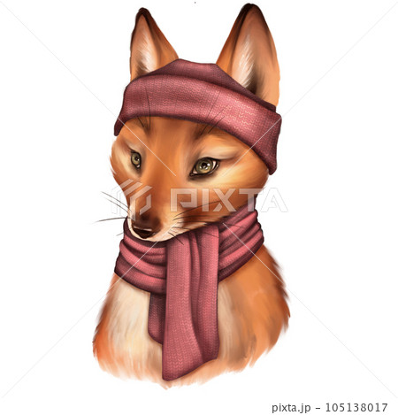 Fox in a pink knitted hat and scarf. Cute animal portrait illustration. 105138017